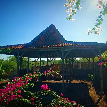 Umah Kayu 2-Menjangan Homestay บันยูเวดัง ภายนอก รูปภาพ