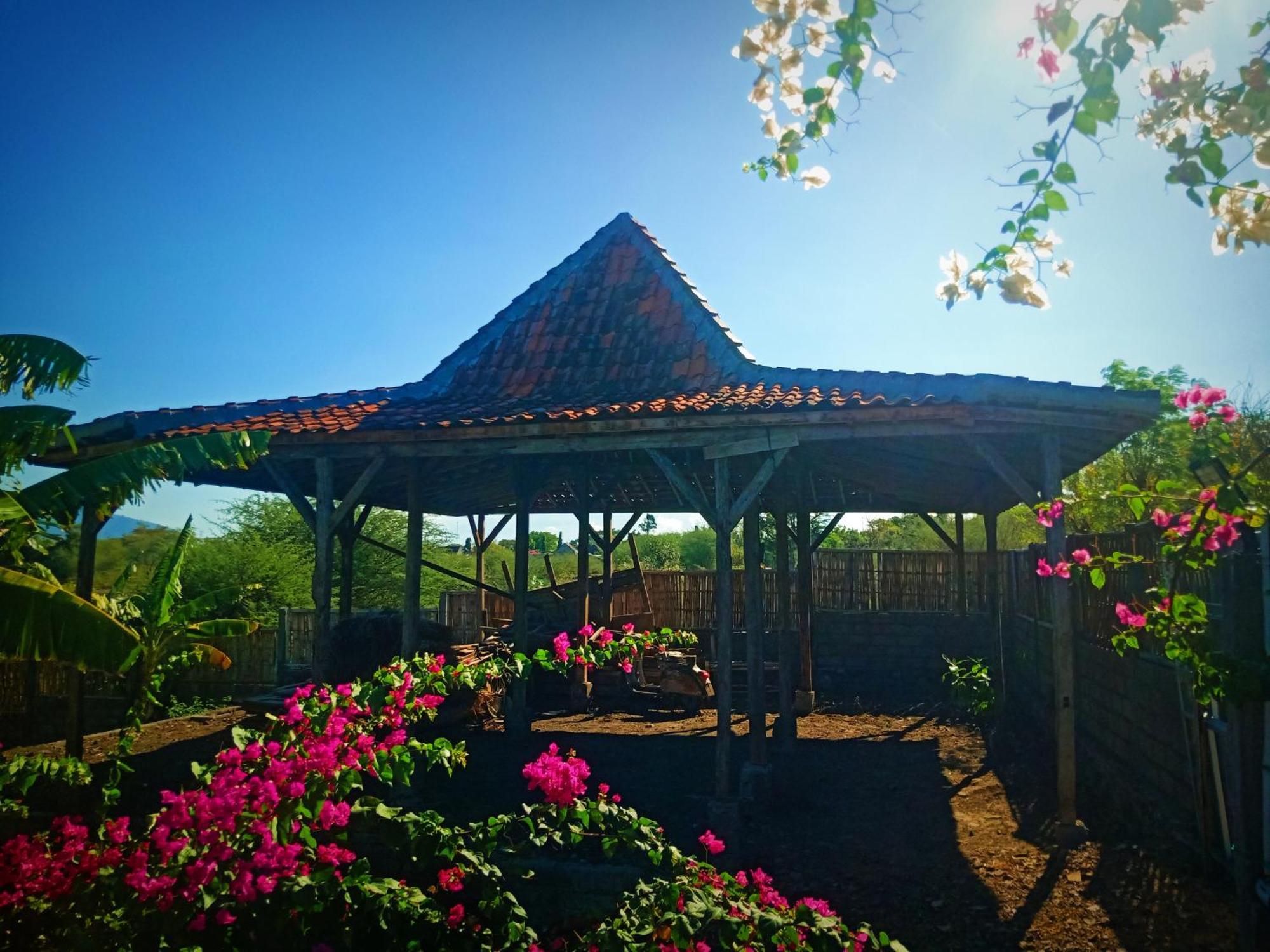 Umah Kayu 2-Menjangan Homestay บันยูเวดัง ภายนอก รูปภาพ