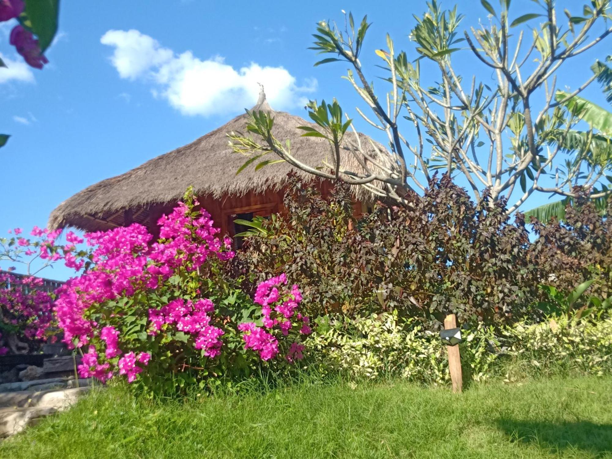 Umah Kayu 2-Menjangan Homestay บันยูเวดัง ภายนอก รูปภาพ